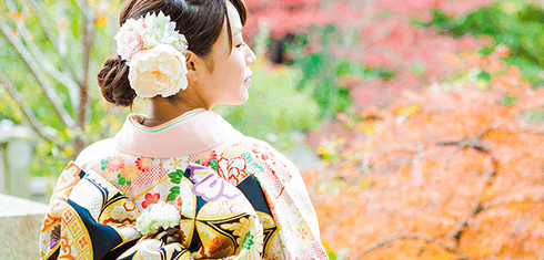 写真:メモリアルプランの詳細はこちら